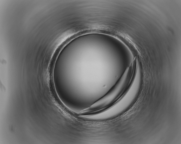 X0000091091024200708061632