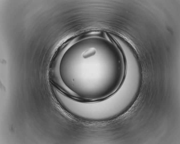 X0000091091026200708061632