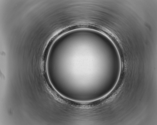 X0000091091029200708061632