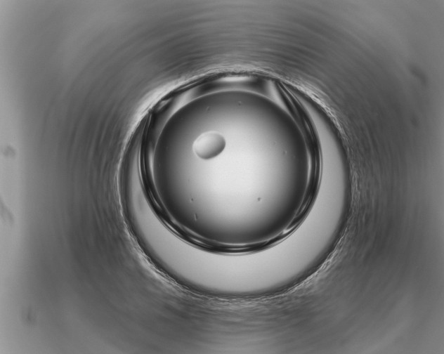 X0000091091030200708061632