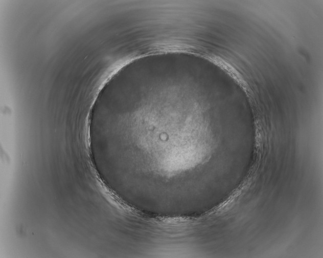 X0000091091031200708061632