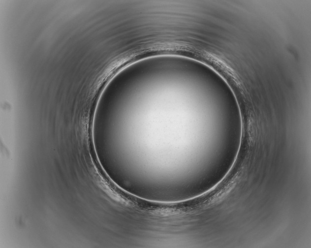 X0000091091033200708061632