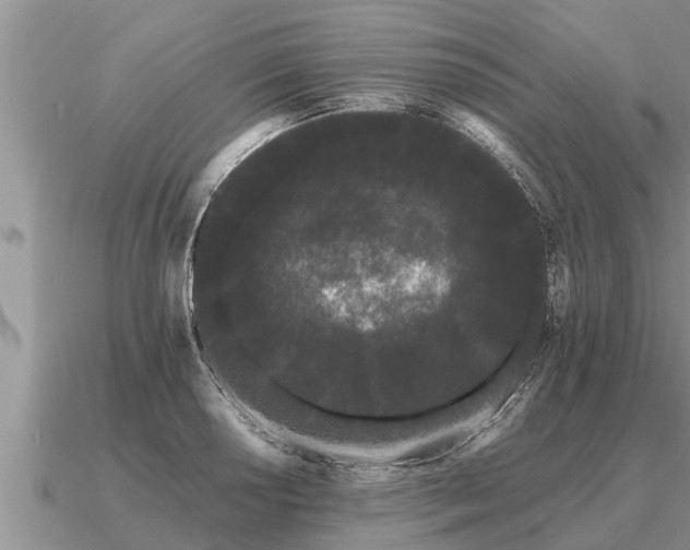 X0000091091034200708061632