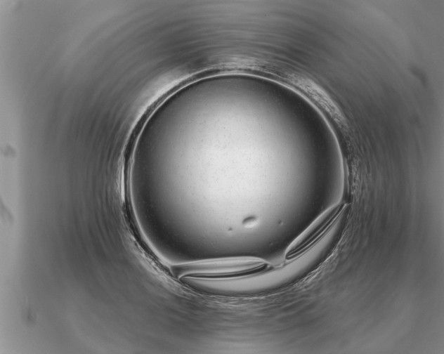 X0000091091036200708061632
