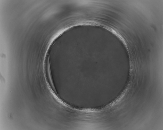 X0000091091037200708061632