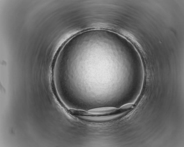X0000091091040200708061632