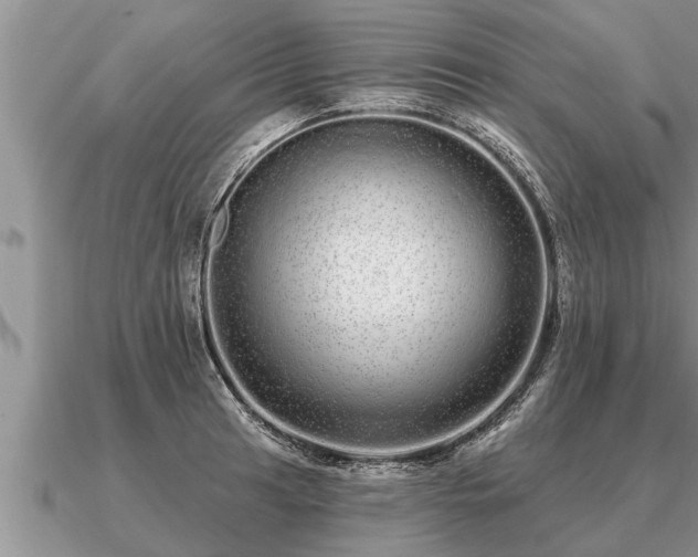 X0000091091041200708061632