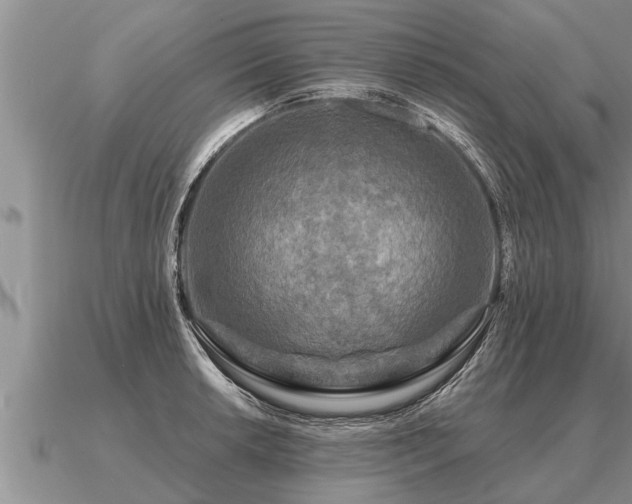 X0000091091042200708061632