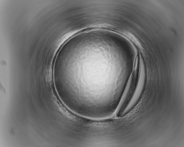 X0000091091044200708061633