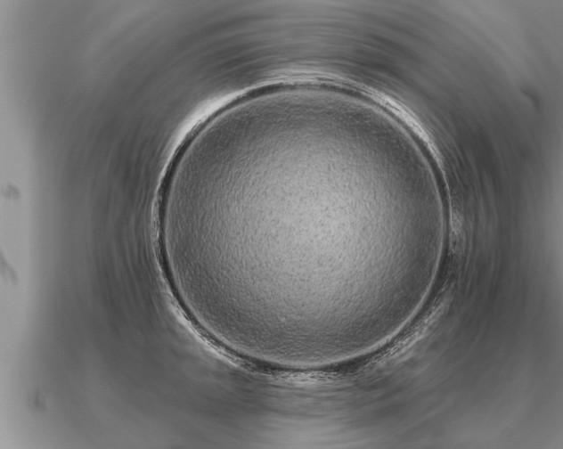 X0000091091045200708061633