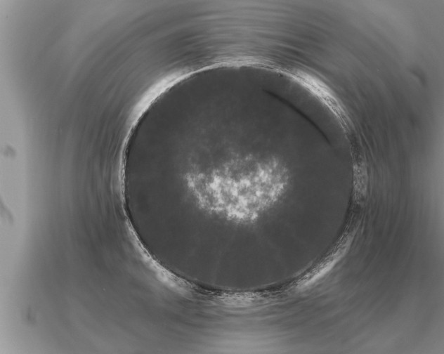 X0000091091046200708061633