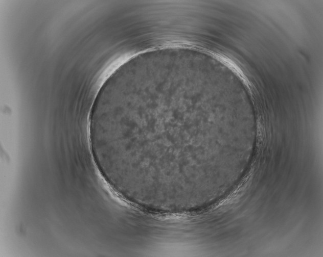 X0000091091047200708061633