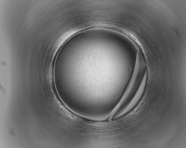 X0000091091048200708061633