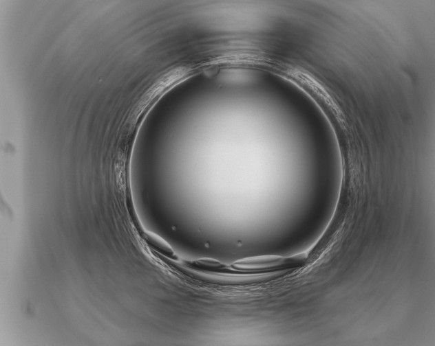 X0000091091049200708061633
