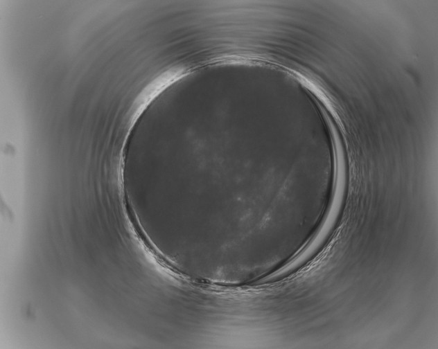 X0000091091050200708061633