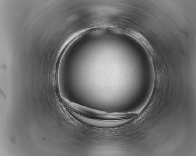 X0000091091052200708061633
