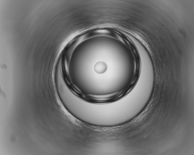 X0000091091054200708061633