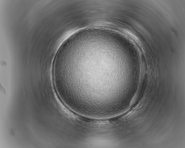 X0000091091055200708061633
