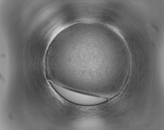 X0000091091056200708061633