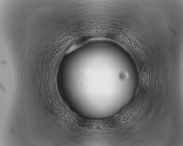 X0000091091057200708061632