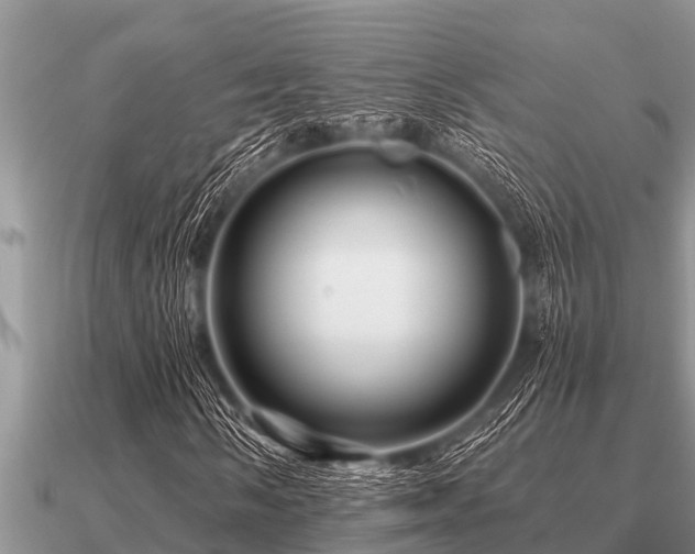 X0000091091058200708061632