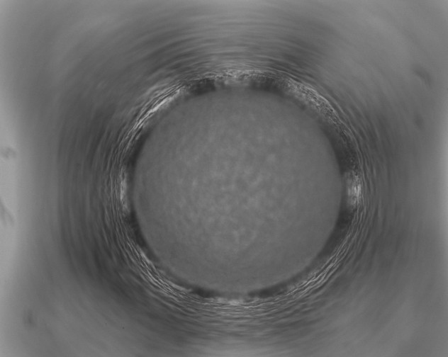 X0000091091060200708061632