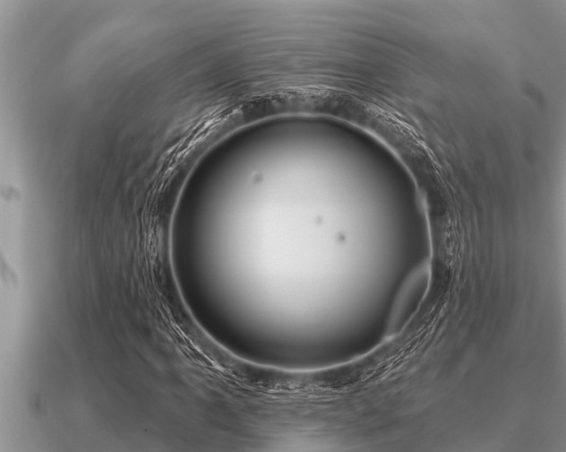 X0000091091061200708061632