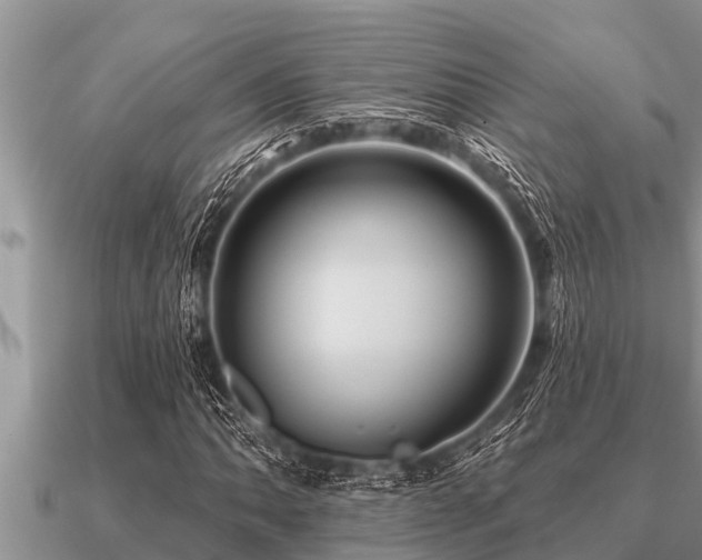 X0000091091062200708061632