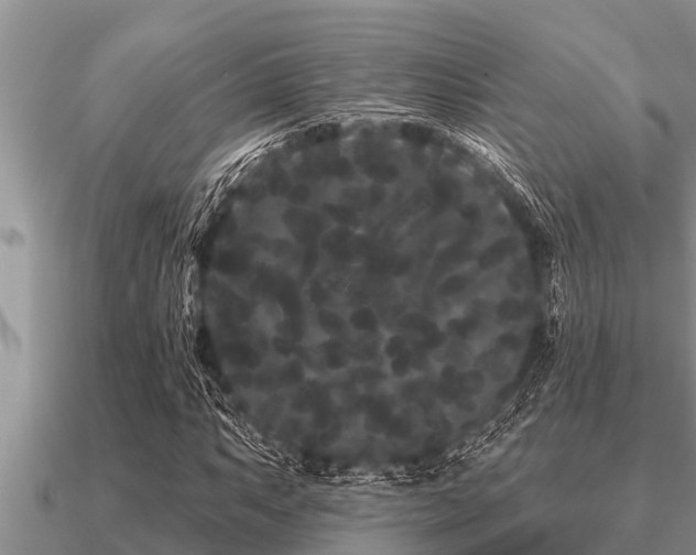 X0000091091063200708061632