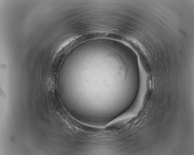 X0000091091064200708061632
