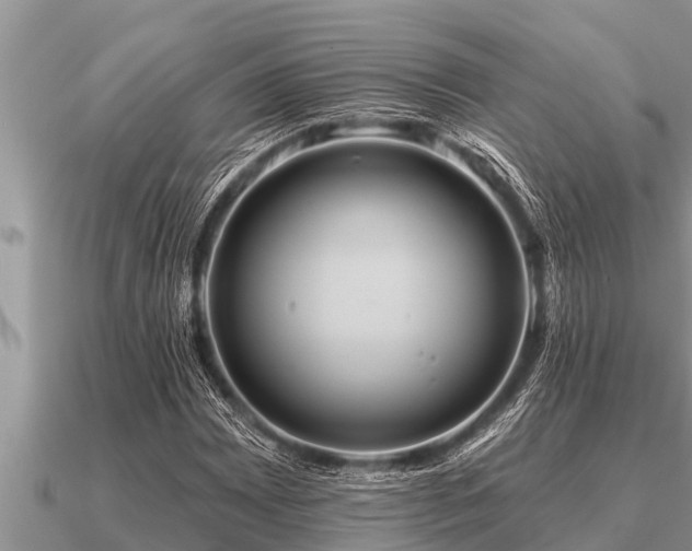 X0000091091065200708061632