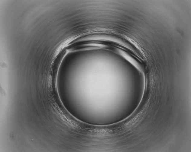 X0000091091066200708061632