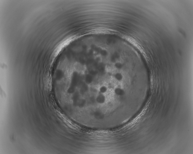 X0000091091067200708061632