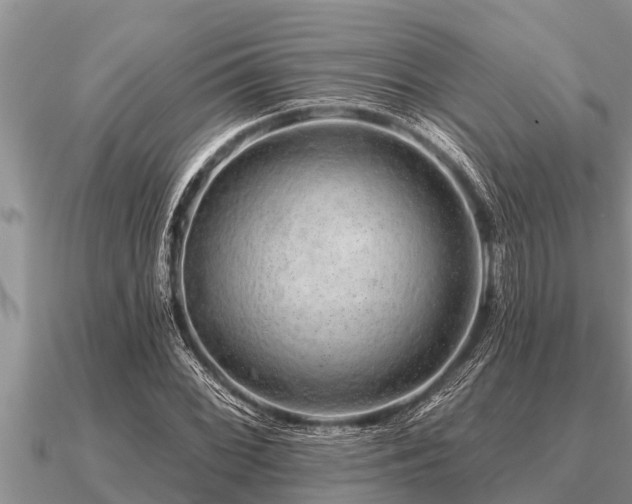 X0000091091068200708061632