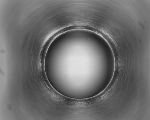 X0000091091070200708061632