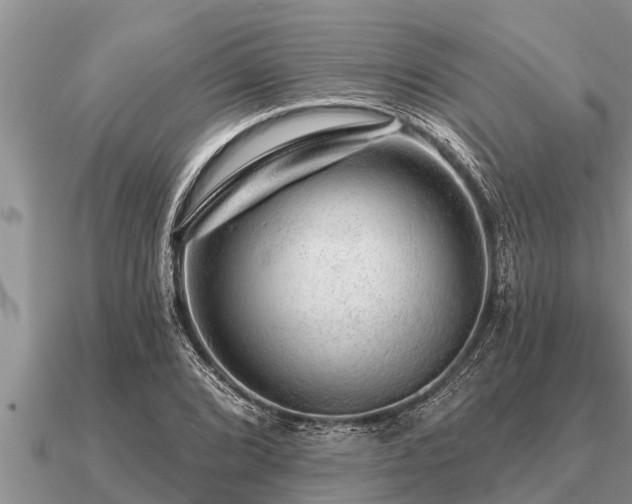 X0000091091072200708061632
