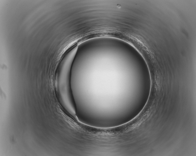 X0000091091073200708061632