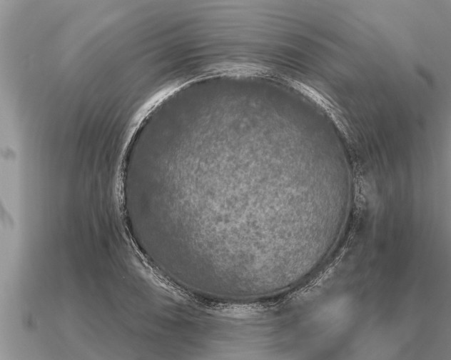 X0000091091074200708061632