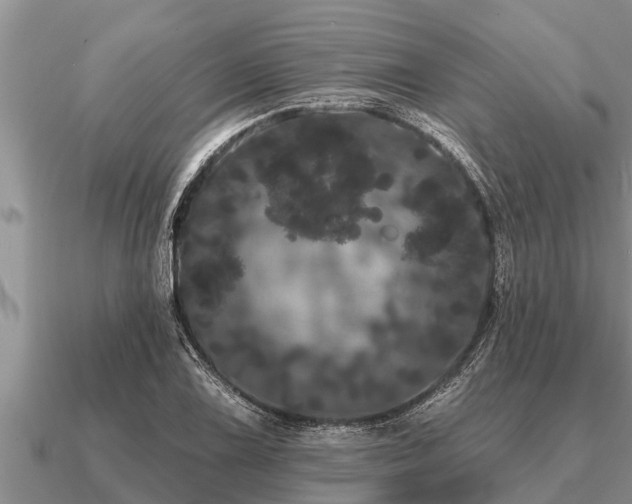 X0000091091075200708061632
