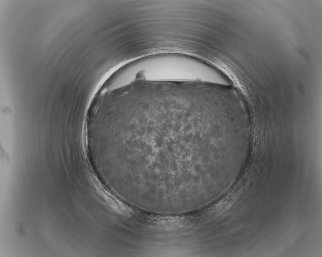 X0000091091076200708061632