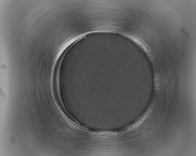 X0000091091077200708061632