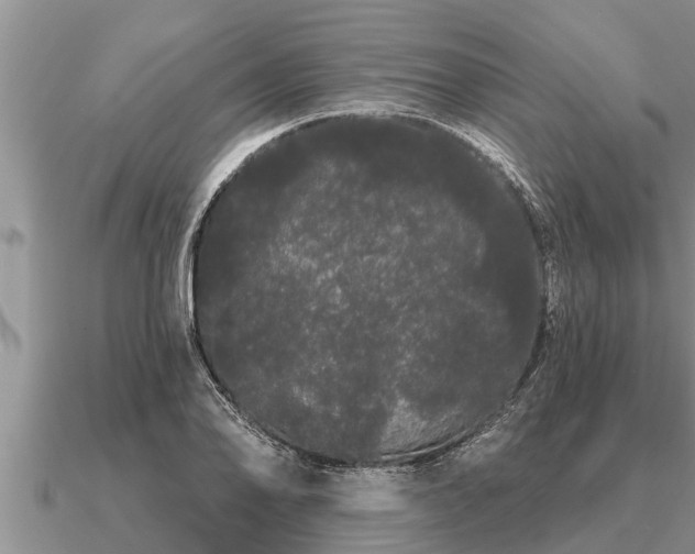 X0000091091078200708061632
