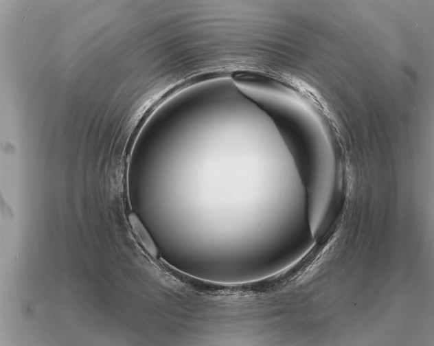 X0000091091081200708061632