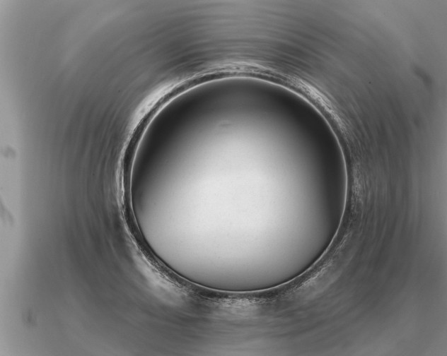 X0000091091082200708061632