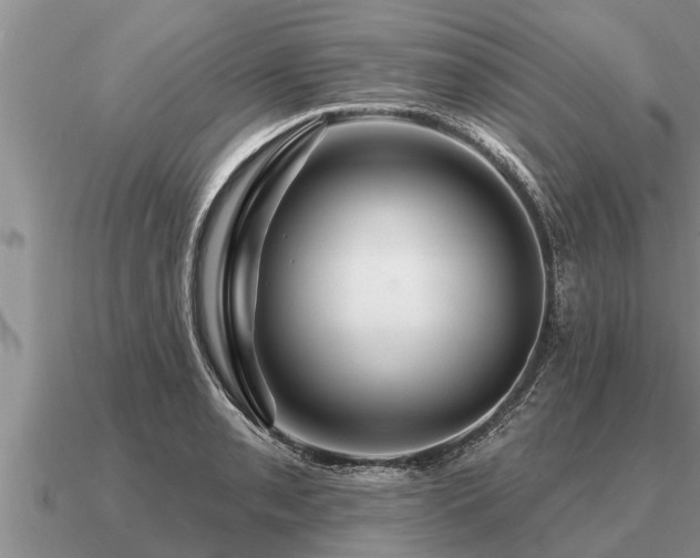 X0000091091085200708061632