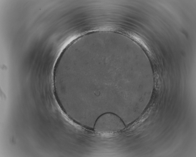 X0000091091087200708061632