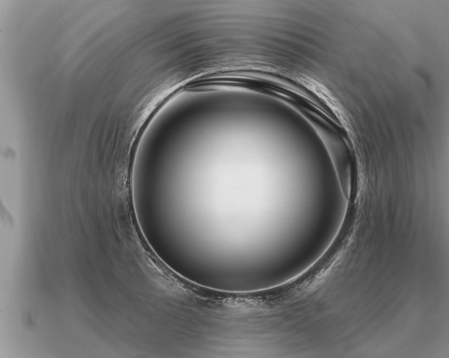 X0000091091089200708061632