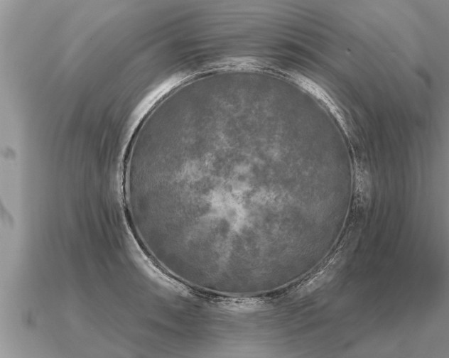 X0000091091090200708061632
