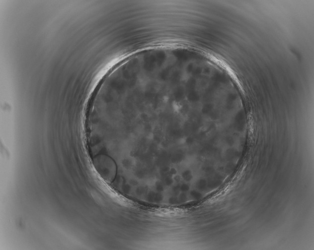 X0000091091091200708061632