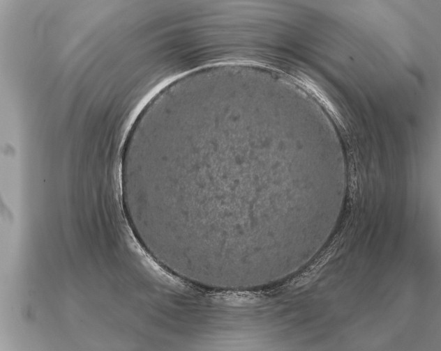 X0000091091092200708061632